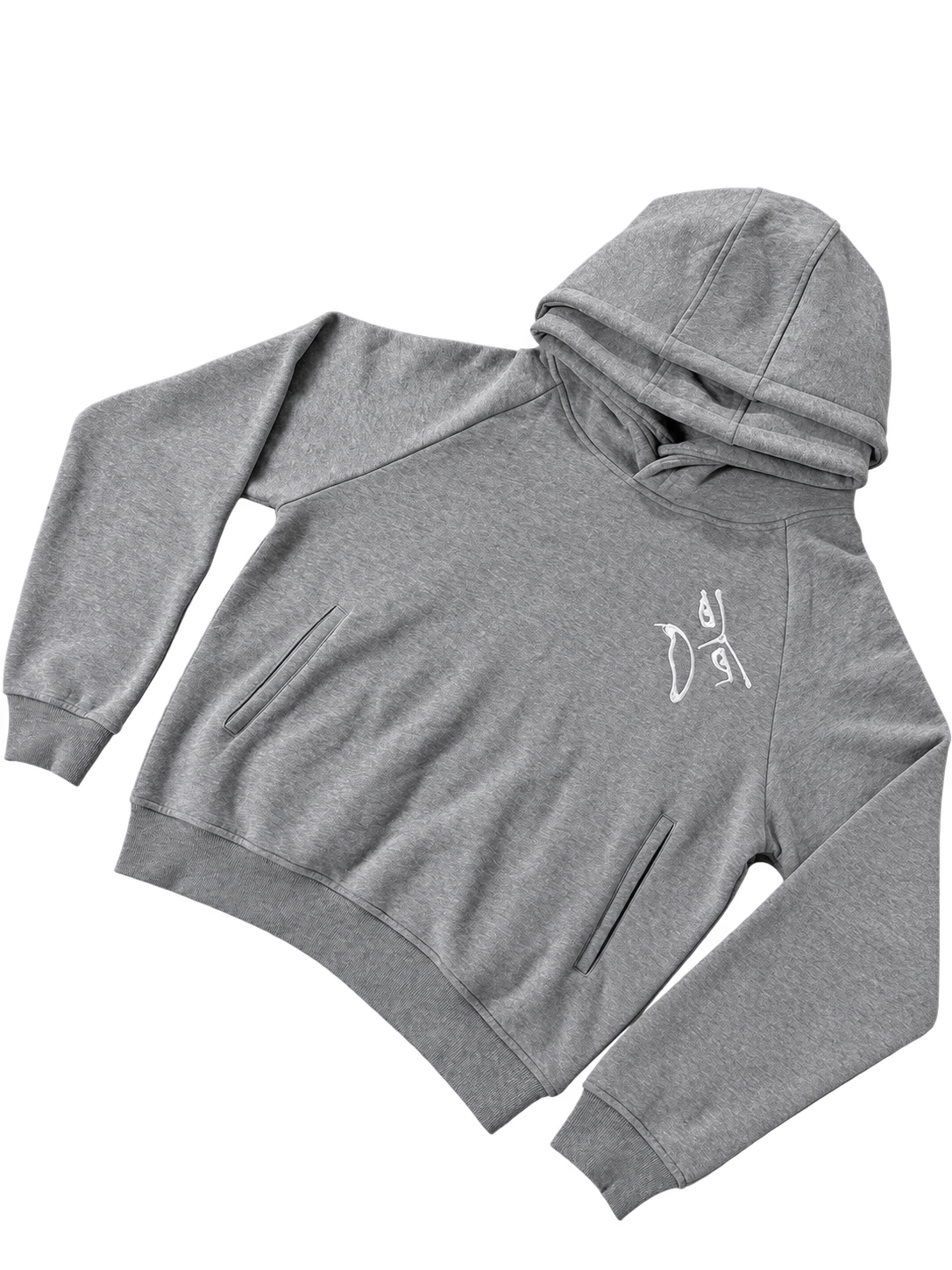 ProjectFarrell double hooded hoodie